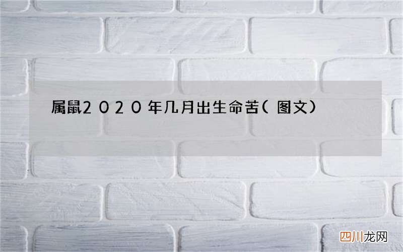 图文 属鼠2020年几月出生命苦