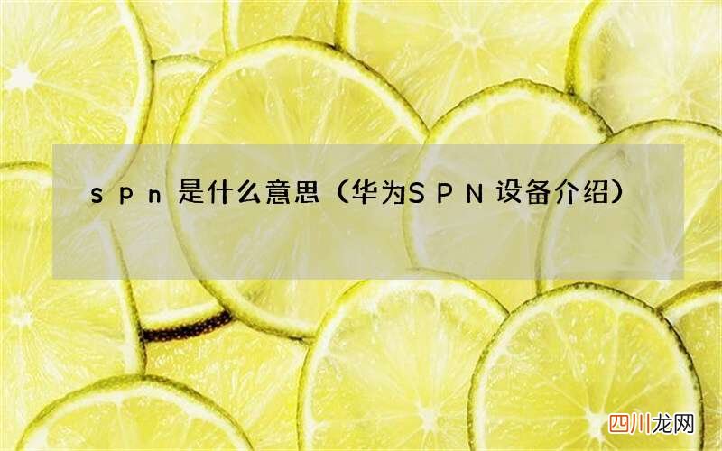 华为SPN设备介绍 spn是什么意思