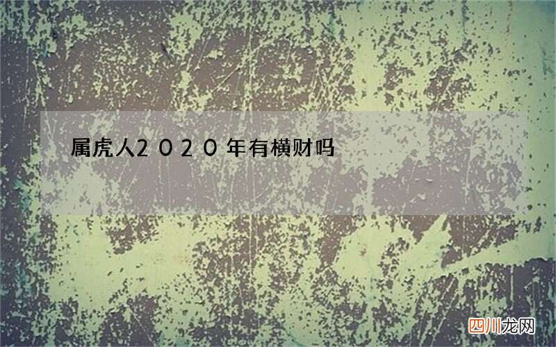 属虎人2020年有横财吗