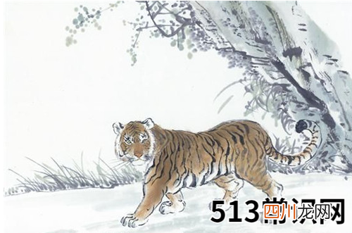 2010属虎的40岁以后命运如何