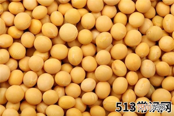 梦见黄豆、种黄豆_做梦梦到黄豆、种黄豆是什么意思