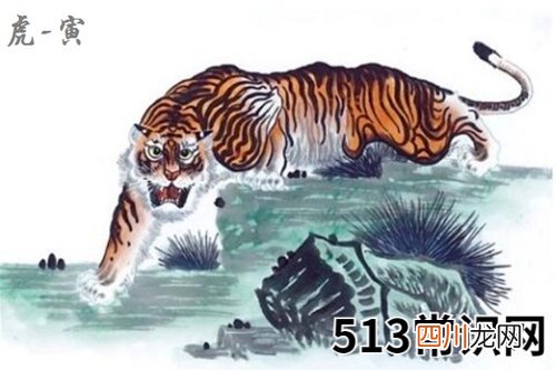属虎人一生运势