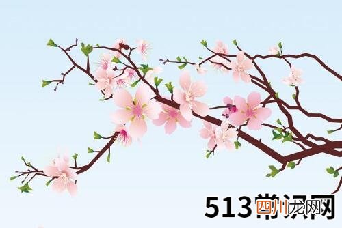 属虎人的桃花贵人是谁