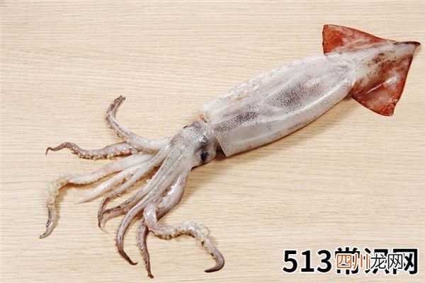 梦见鱿鱼_做梦梦到鱿鱼是什么意思