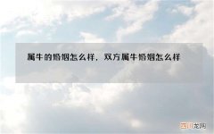 属牛的婚姻怎么样，双方属牛婚姻怎么样