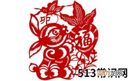 2011年属什么生肖