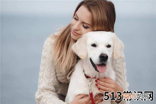 梦见养犬、养狗_做梦梦到养犬、养狗是什么意思