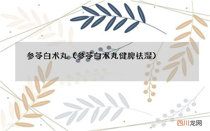 参苓白术丸健脾祛湿 参苓白术丸