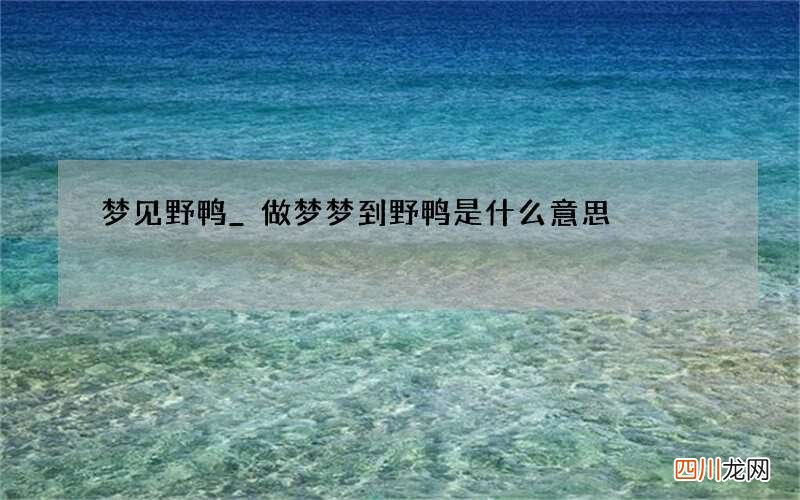 梦见野鸭_做梦梦到野鸭是什么意思