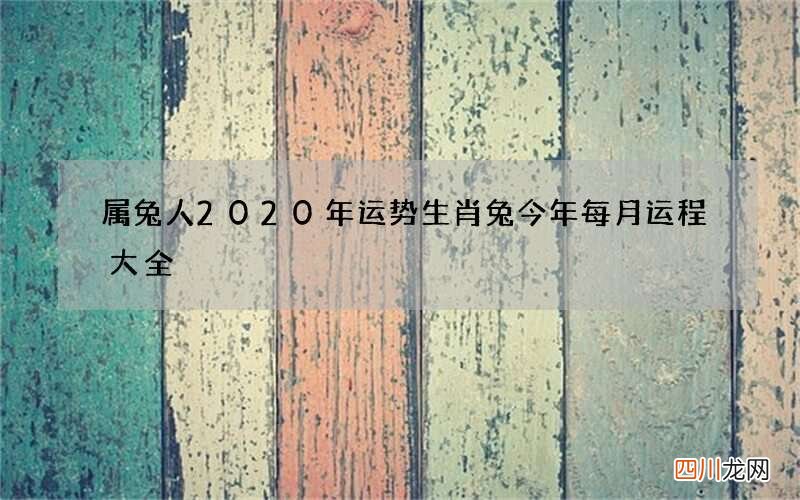 属兔人2020年运势 生肖兔今年每月运程大全