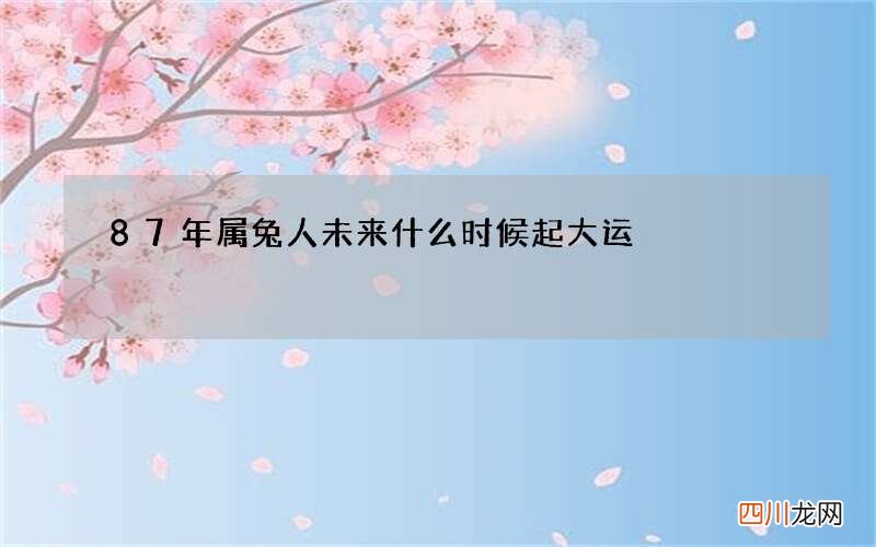 87年属兔人未来什么时候起大运