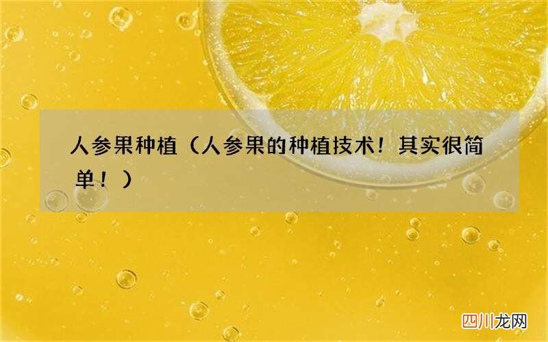 人参果的种植技术！其实很简单！ 人参果种植
