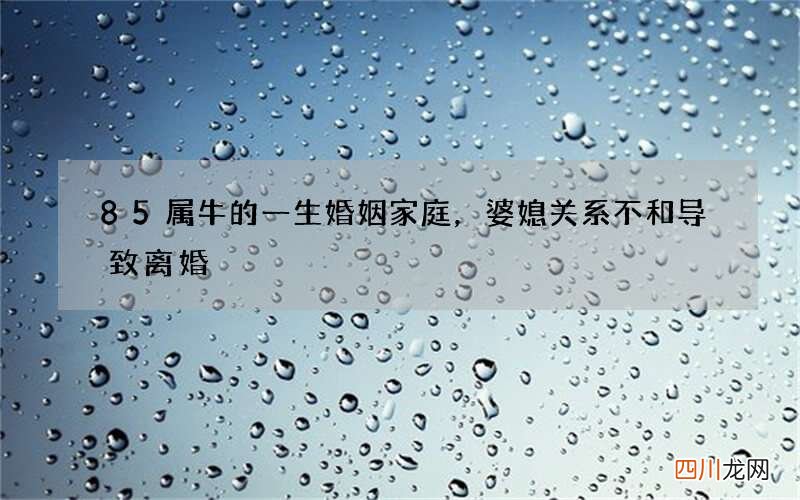 85属牛的一生婚姻家庭，婆媳关系不和导致离婚