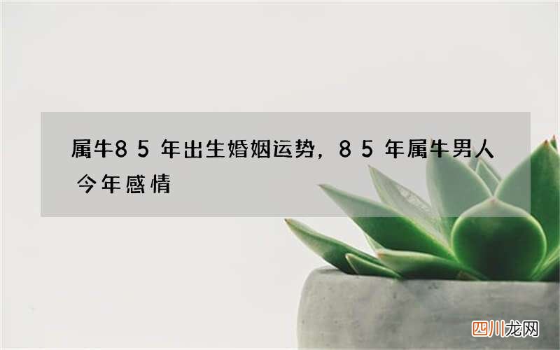 属牛85年出生婚姻运势，85年属牛男人今年感情