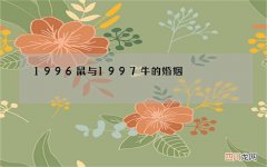 1996鼠与1997牛的婚姻，96男鼠97女牛婚配解析
