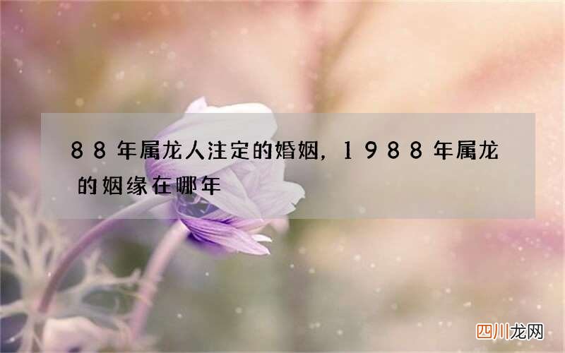 88年属龙人注定的婚姻，1988年属龙的姻缘在哪年