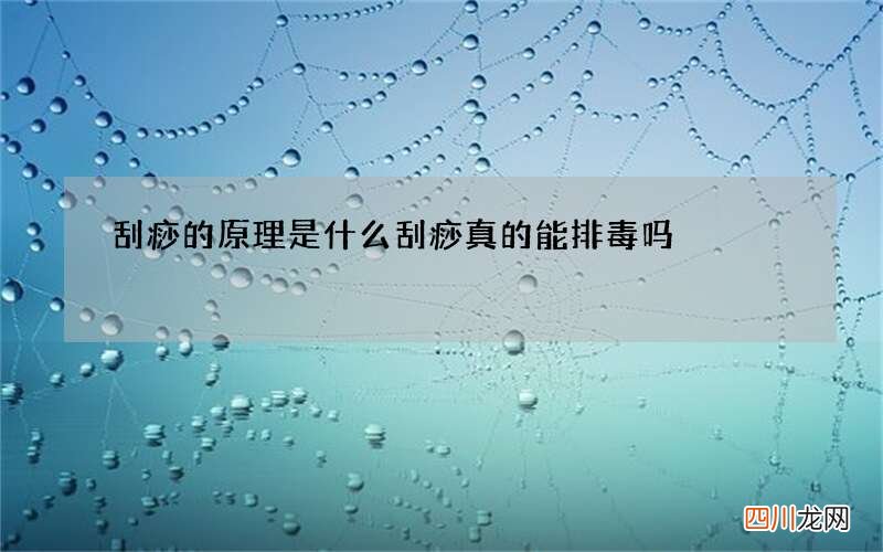 刮痧的原理是什么 刮痧真的能排毒吗