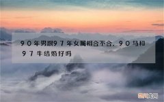 90年男跟97年女属相合不合，90马和97牛结婚好吗