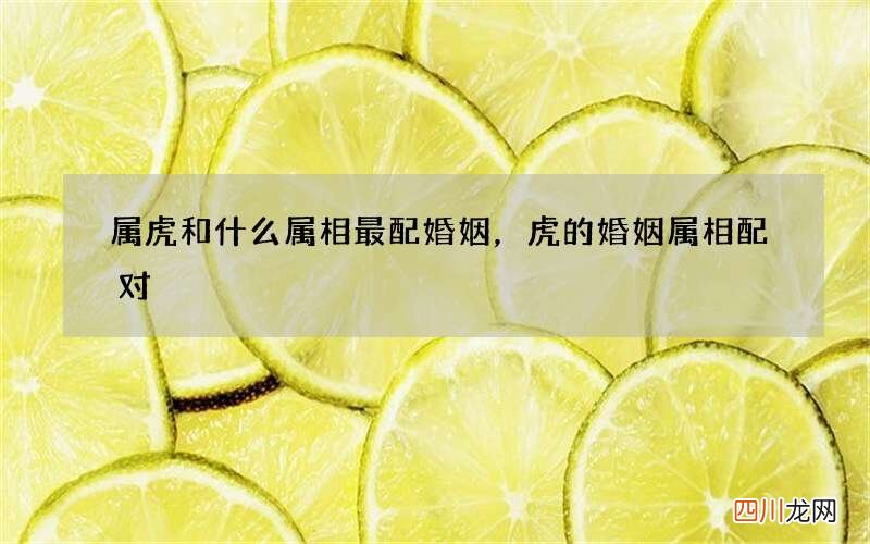 属虎和什么属相最配婚姻，虎的婚姻属相配对