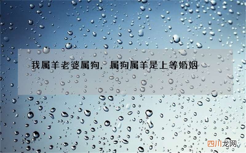 我属羊老婆属狗，属狗属羊是上等婚姻