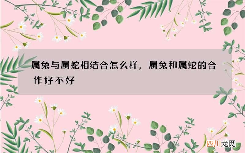 属兔与属蛇相结合怎么样，属兔和属蛇的合作好不好