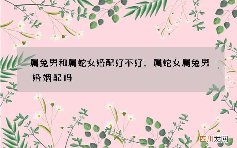 属兔男和属蛇女婚配好不好，属蛇女属兔男婚姻配吗