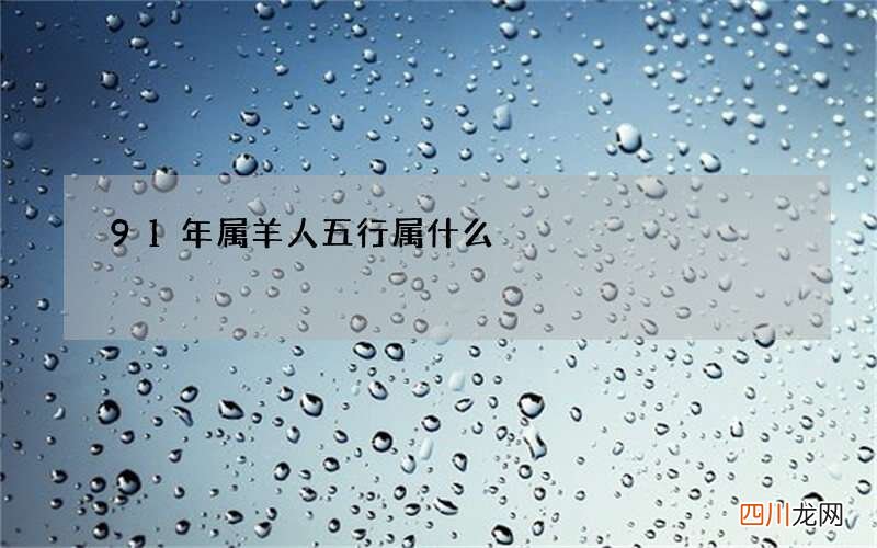 91年属羊人五行属什么