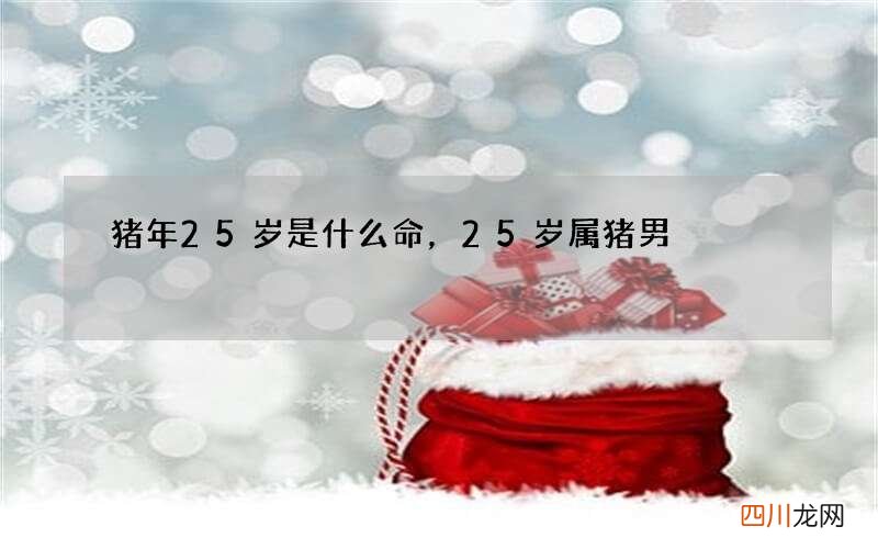 猪年25岁是什么命，25岁属猪男