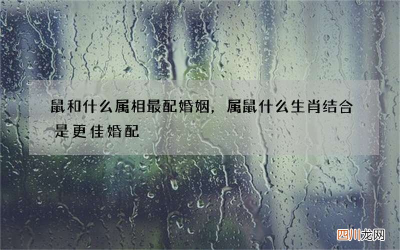 鼠和什么属相最配婚姻，属鼠什么生肖结合是更佳婚配