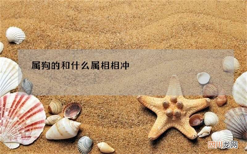属狗的和什么属相相冲