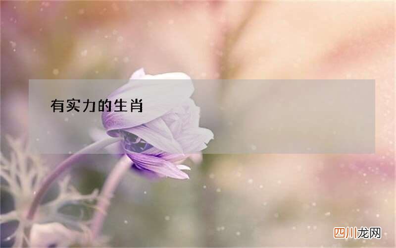 有实力的生肖