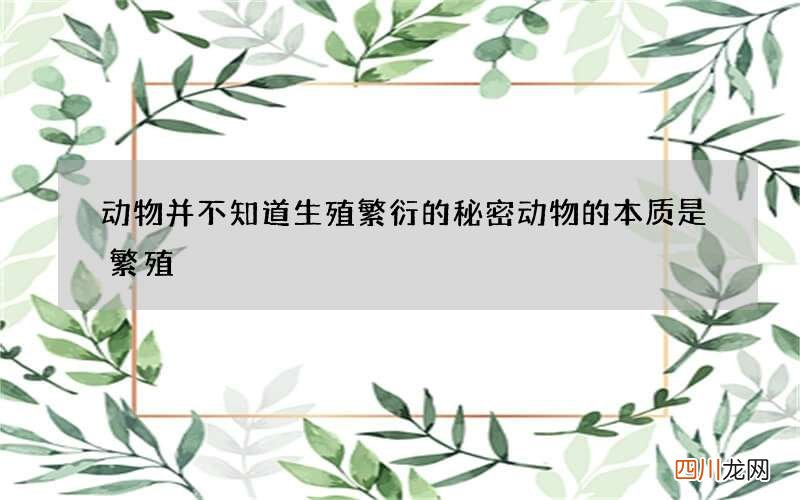 动物并不知道生殖繁衍的秘密 动物的本质是繁殖