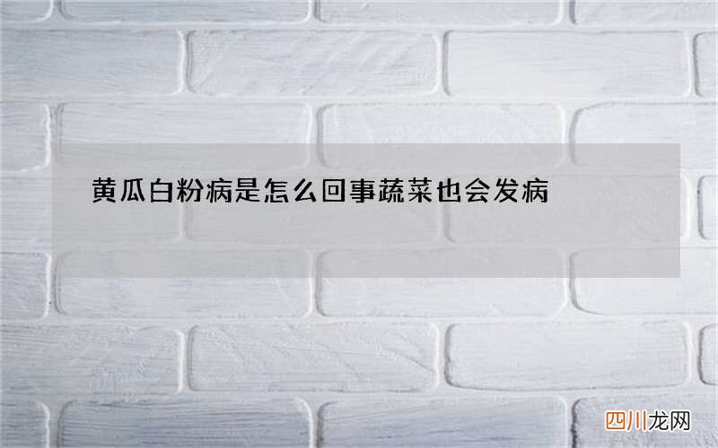 黄瓜白粉病是怎么回事 蔬菜也会发病