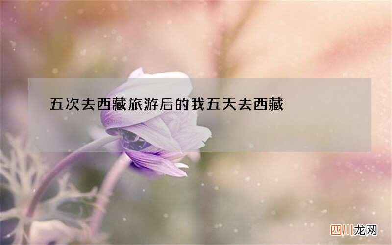 五次去西藏旅游后的我 五天去西藏