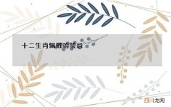十二生肖佩戴的禁忌