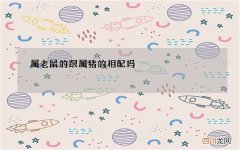 属老鼠的跟属猪的相配吗，95男猪96女鼠相克吗