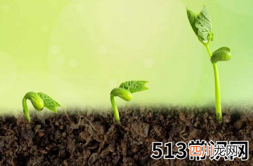 土命生肖佩戴什么旺运