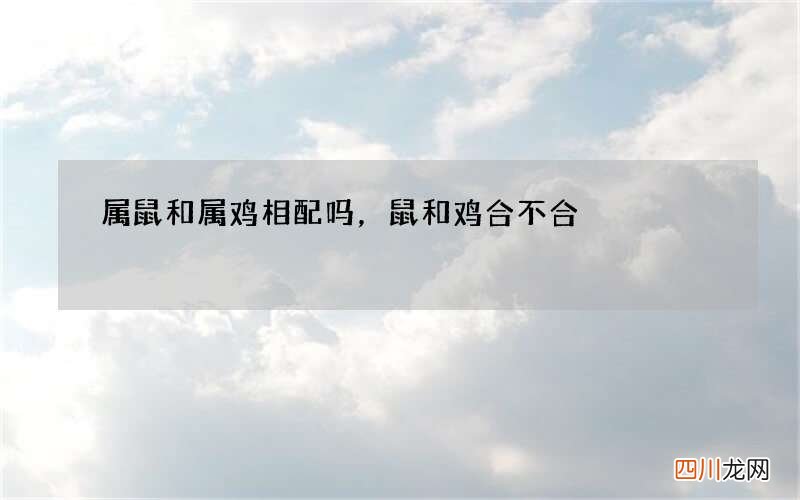 属鼠和属鸡相配吗，鼠和鸡合不合