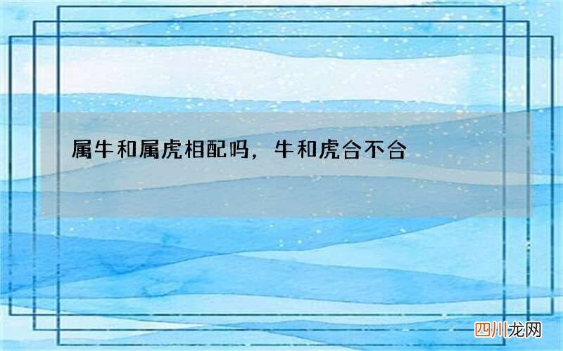 属牛和属虎相配吗，牛和虎合不合
