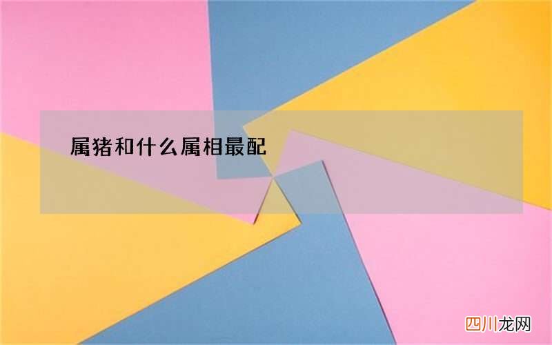 属猪和什么属相最配