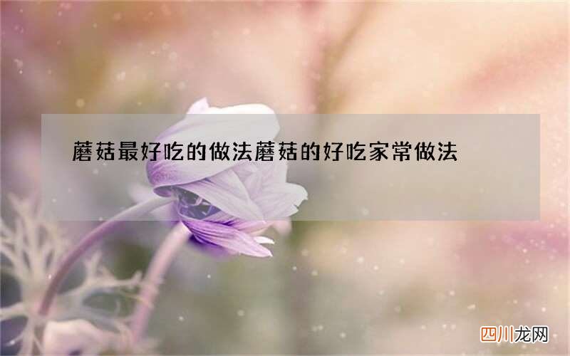 蘑菇最好吃的做法 蘑菇的好吃家常做法