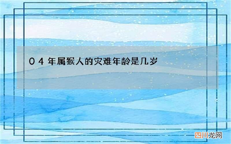 04年属猴人的灾难年龄是几岁