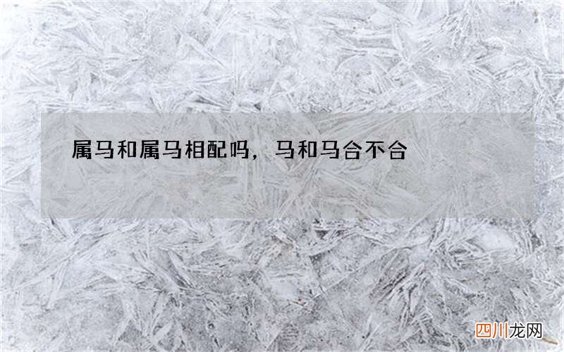 属马和属马相配吗，马和马合不合