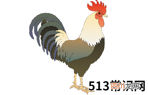1993属鸡一生有二婚