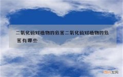 二氧化硫对植物的危害 二氧化硫对植物的危害有哪些