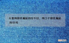 夫妻俩都是属鼠的好不好，两口子都是属鼠的好吗
