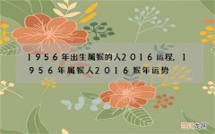 1956年出生属猴的人2016运程,1956年属猴人2016猴年运势