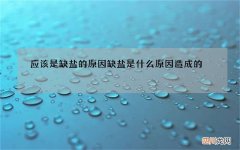应该是缺盐的原因 缺盐是什么原因造成的