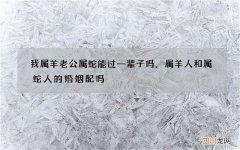 我属羊老公属蛇能过一辈子吗，属羊人和属蛇人的婚姻配吗