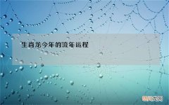 生肖龙今年的流年运程